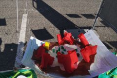 IMG_20210325_111143