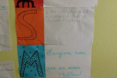IMG_20210329_165012